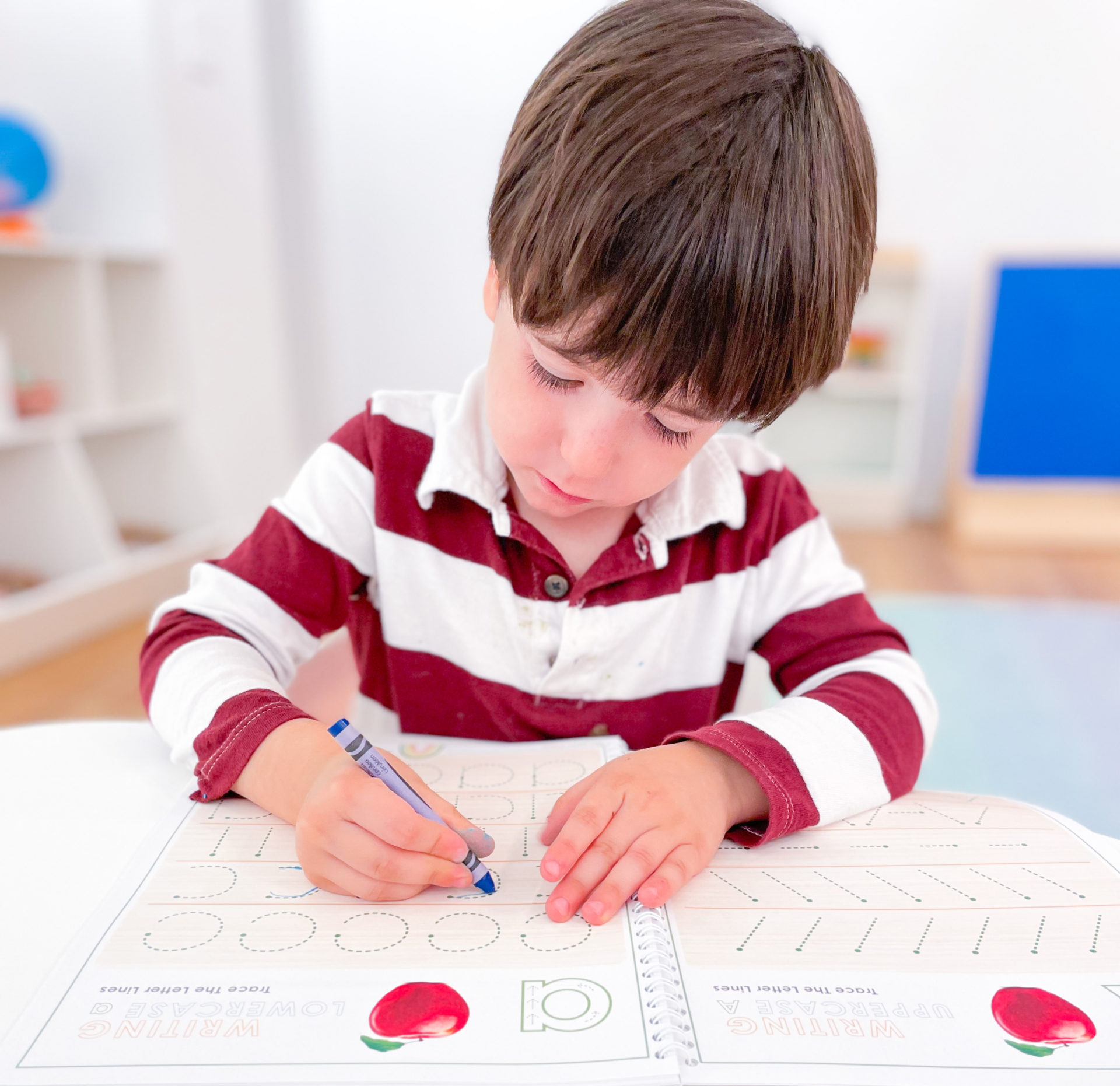 The Most Important Elements in Pre K Homeschools - Playgarden Online