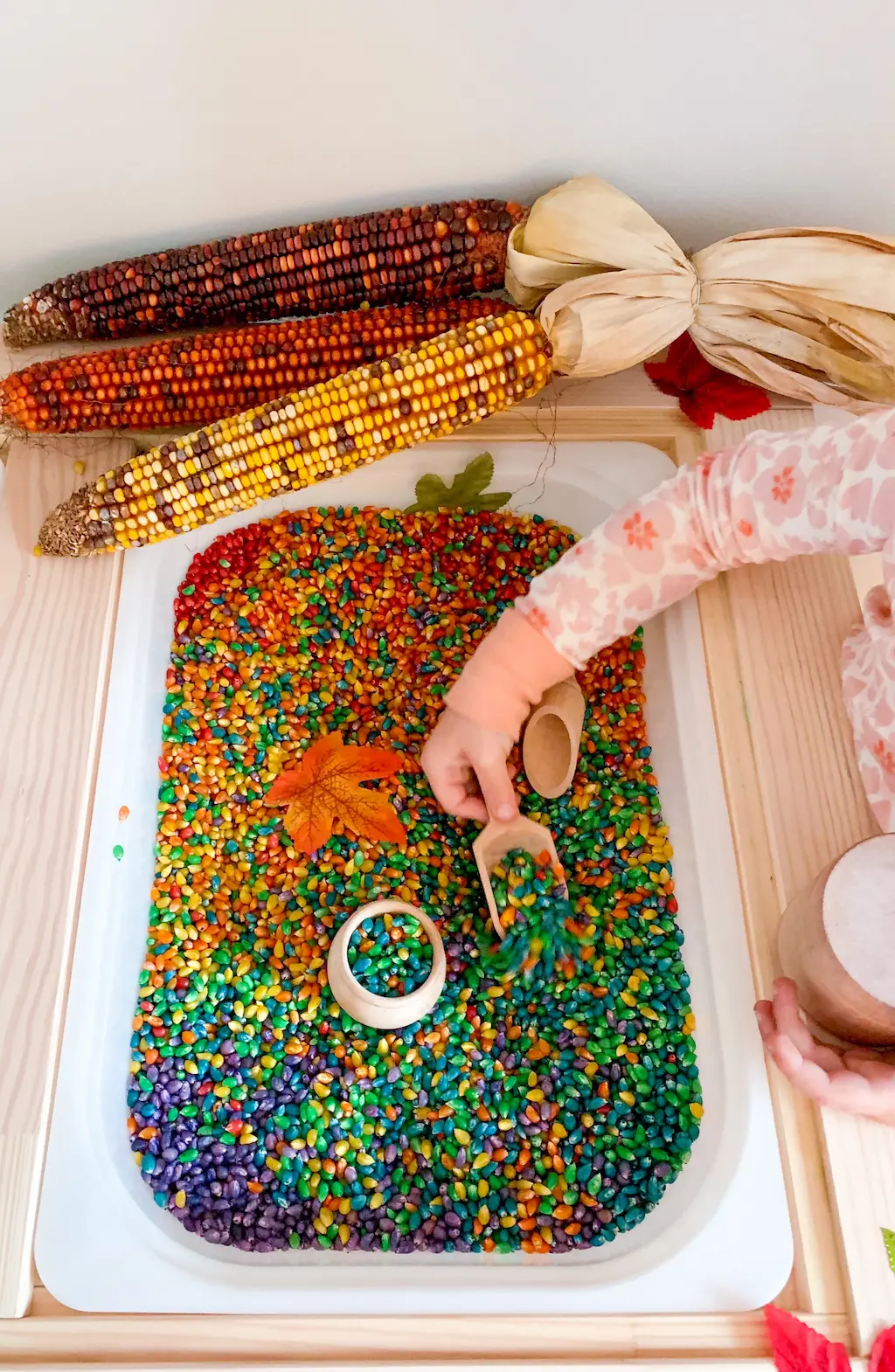 Rainbow Corn - DIY - Playgarden Online