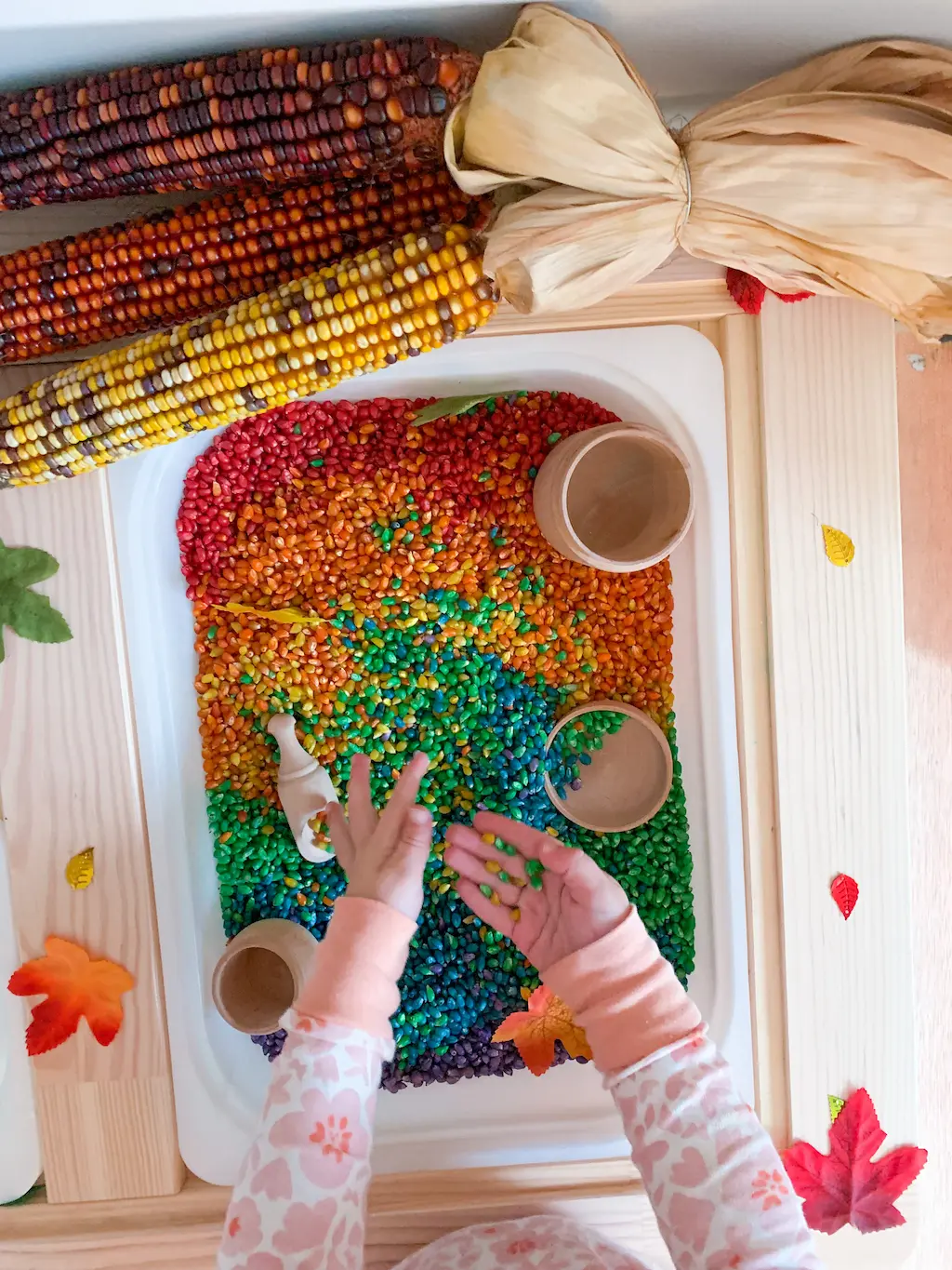 Rainbow Corn - DIY - Playgarden Online