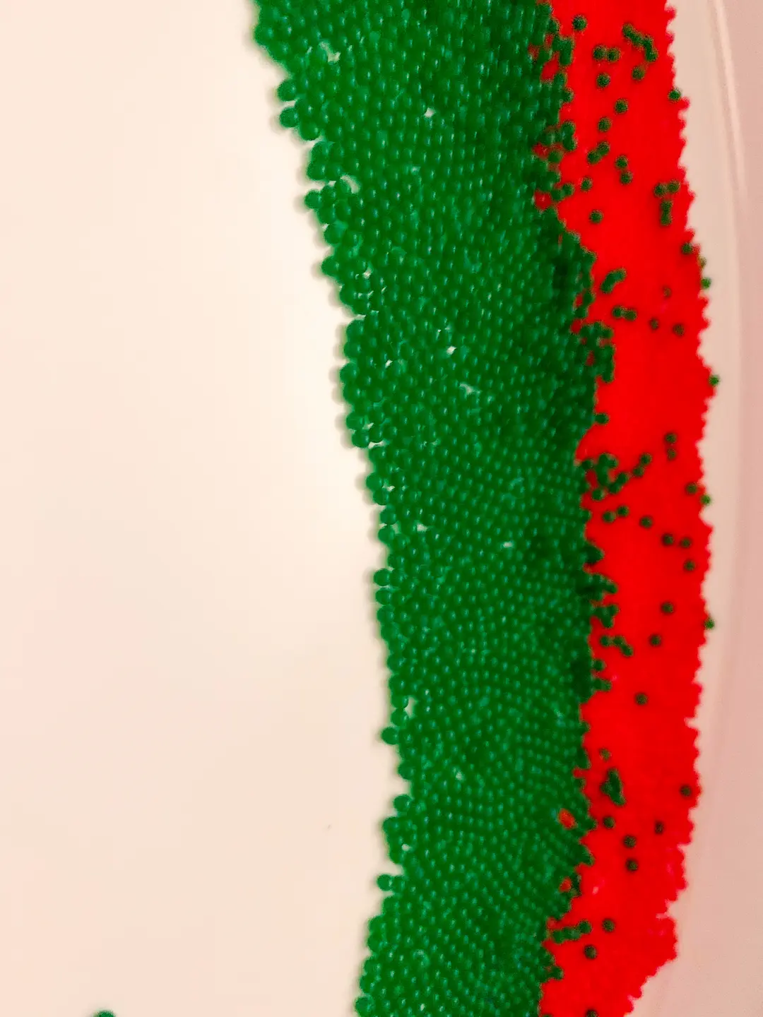 Red and Green Water Beads - DIY - Playgarden Online