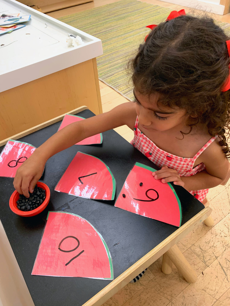 Watermelon Seed Counting - DIY - Playgarden Online