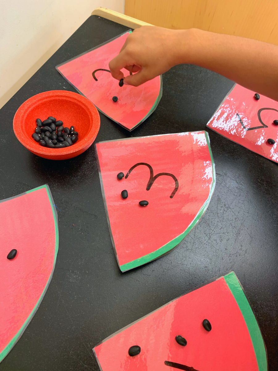 Watermelon Seed Counting - DIY - Playgarden Online