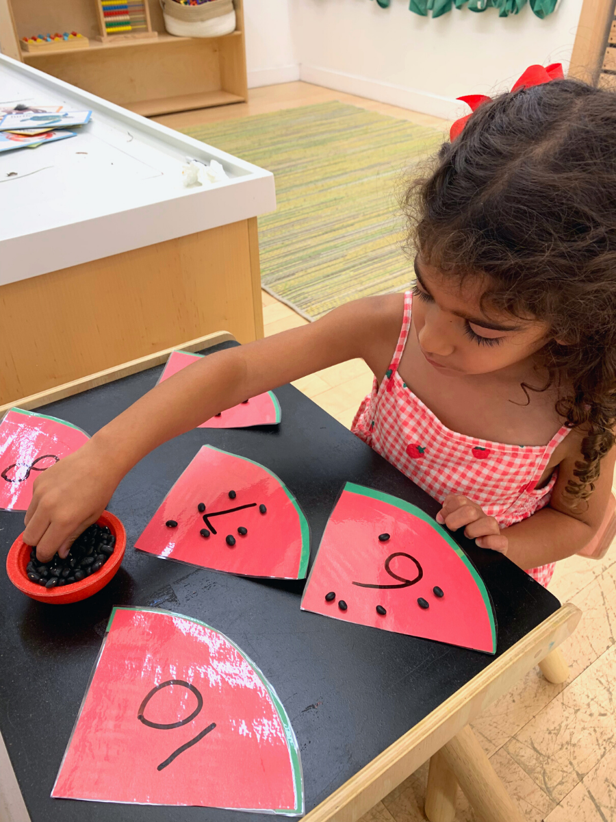 Watermelon Seed Counting - DIY - Playgarden Online