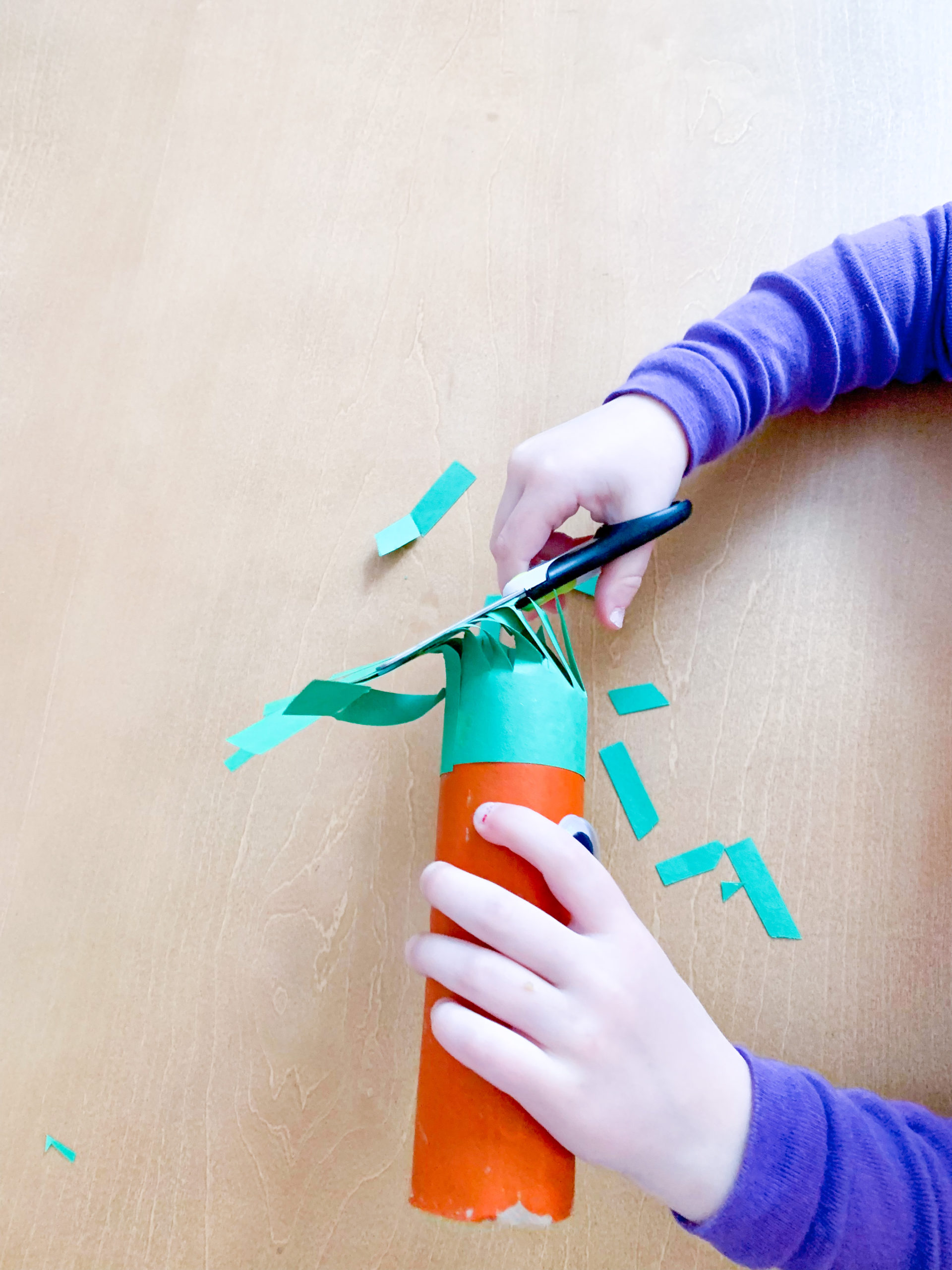 Carrot Fronds Cutting - DIY - Playgarden Online