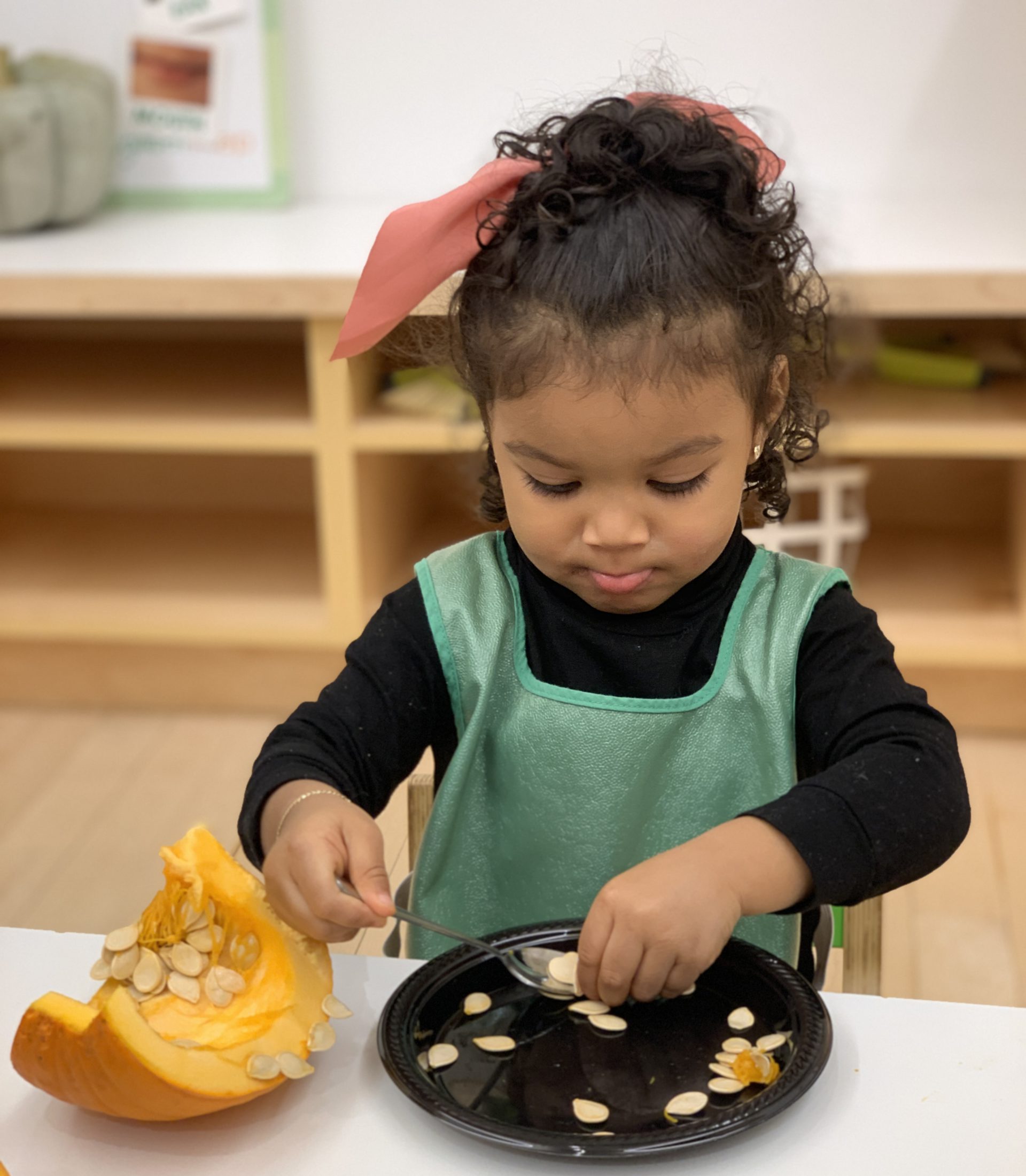 Pumpkin Seed Counting Math Activity for Preschoolers - Playgarden Online